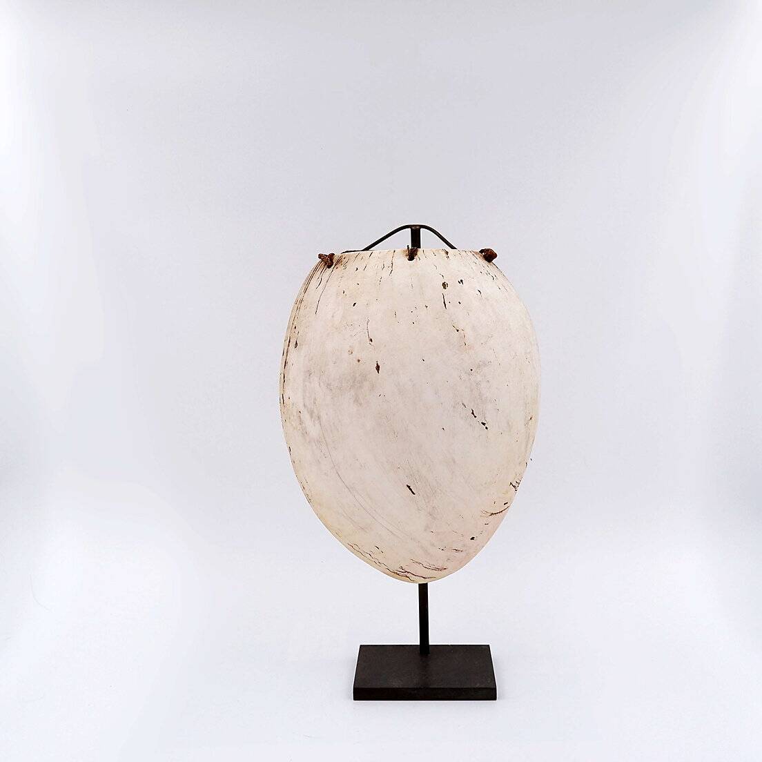 New Guinea Shell Breastplate