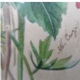 Pair of gouaches "flower bouquets"