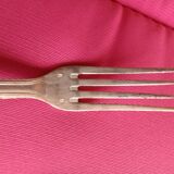 Silver-plated metal cutlery set