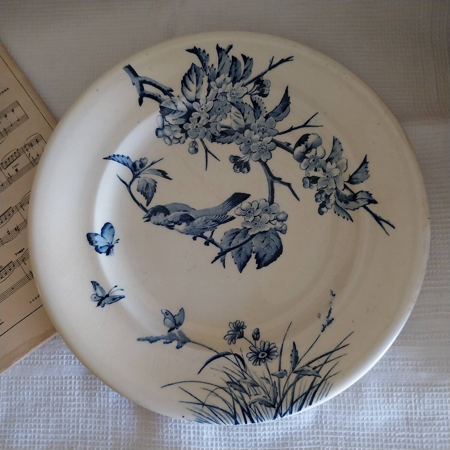 Old flat plate ironstone