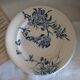 Old flat plate ironstone