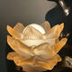 Vintage lamp Columbine