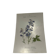 Botanical plate naturalist engraving scientific drawing double-sided