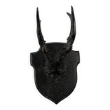 Trophée de chasse
