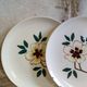 Five flowery dessert plates from continental earthenware