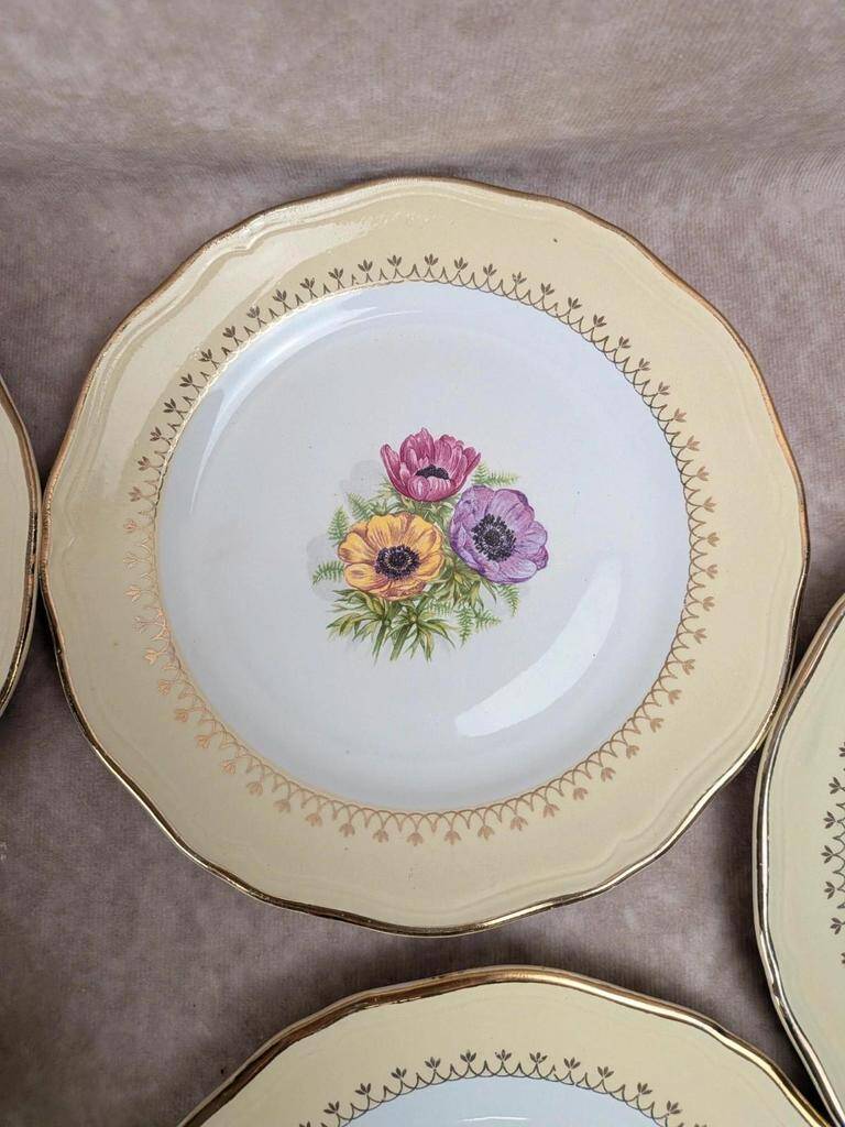 Set of 10 vintage dessert plates L’amandinoise Coopélia