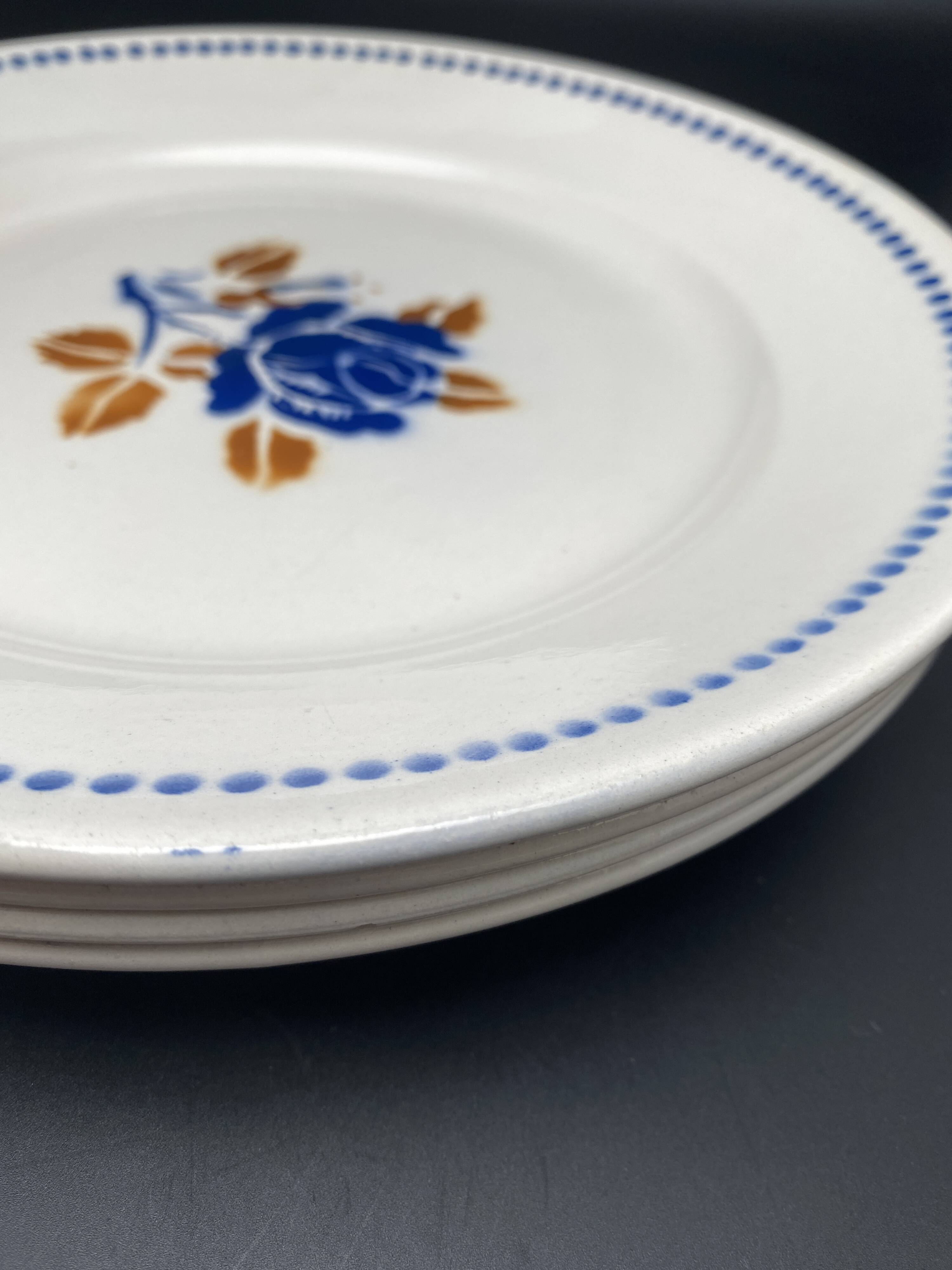 Assiettes plates badinviller vintage roses marine