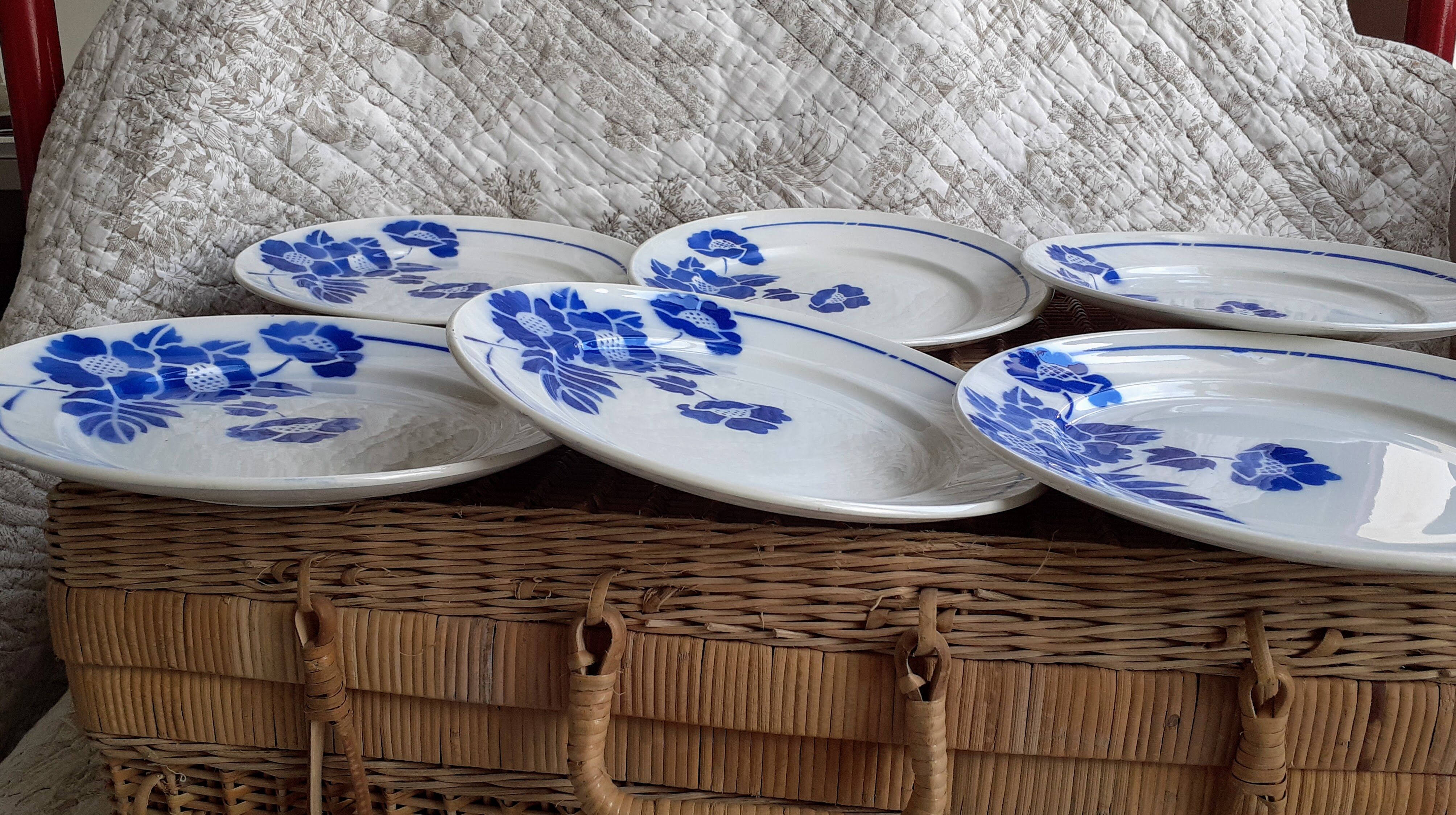 6 flat plates blue flowers