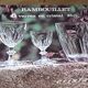 6 verres à vin cristal Rambouillet