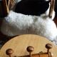 Vintage coatrack