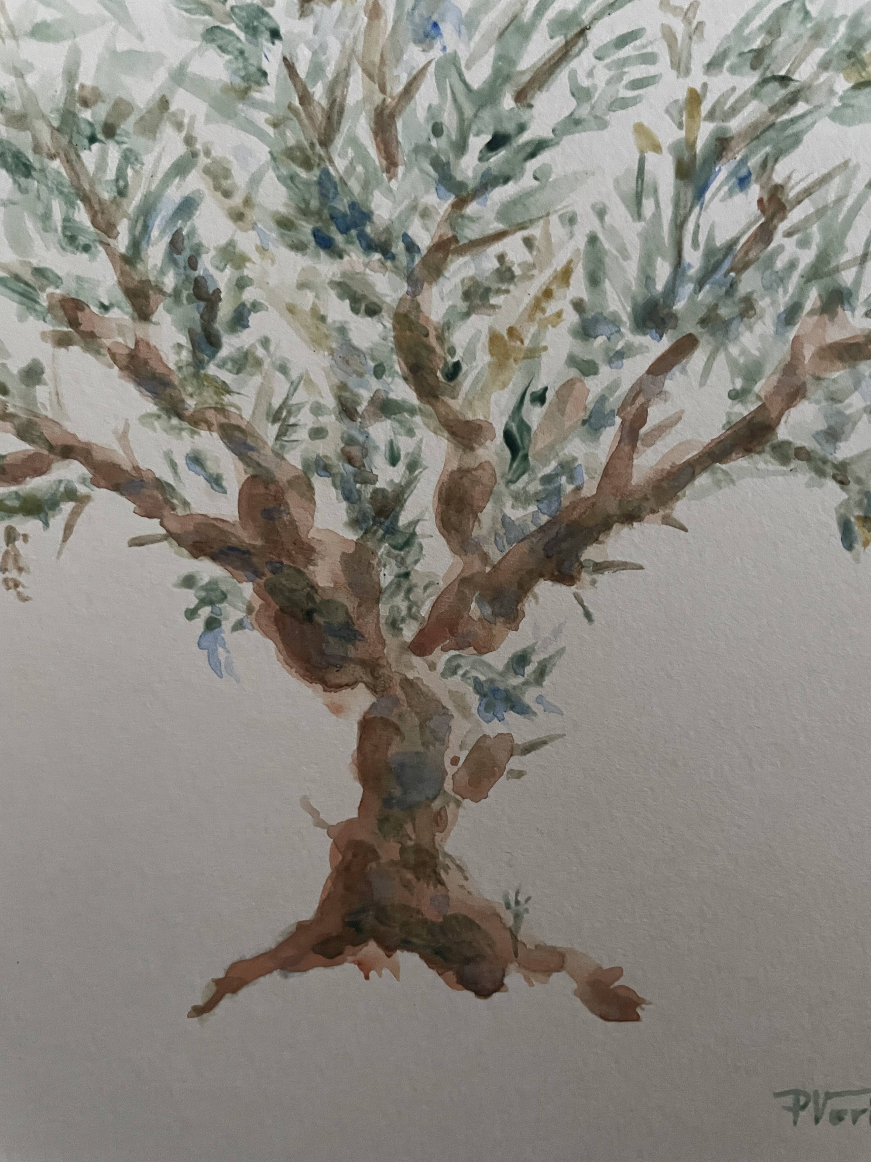 Painting signed watercolor Provençal landscape “the olive tree”