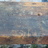 Established with vice