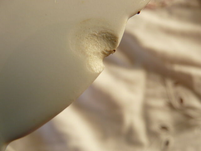 10 porcelain dessert plates xixth century