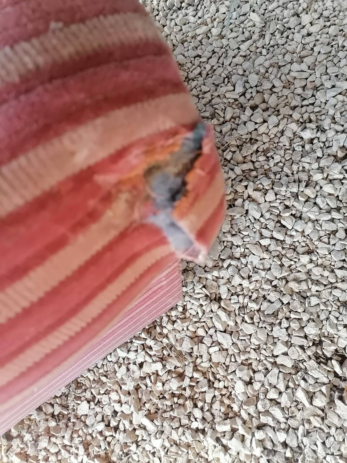 Fabric armchair 1900-1930