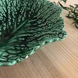 Cup slurry cabbage leaf