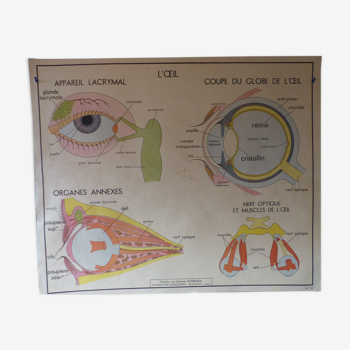 Tableau de Sciences