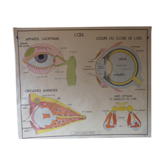 Tableau de Sciences