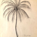 Drawing "Coconut tree"