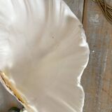 Scallop shell, natural shell catchall.