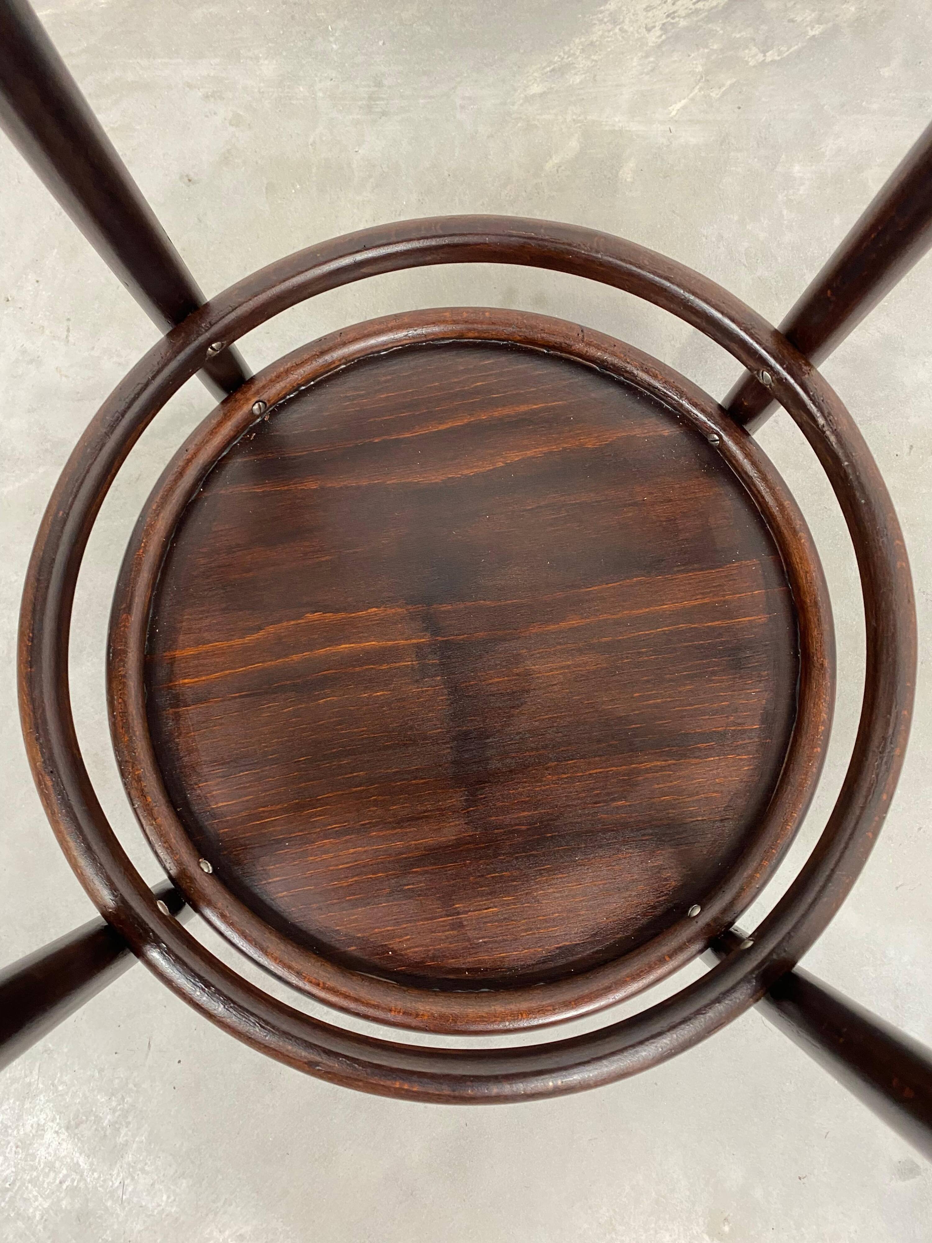 Plant supports in bent wood by Thonet