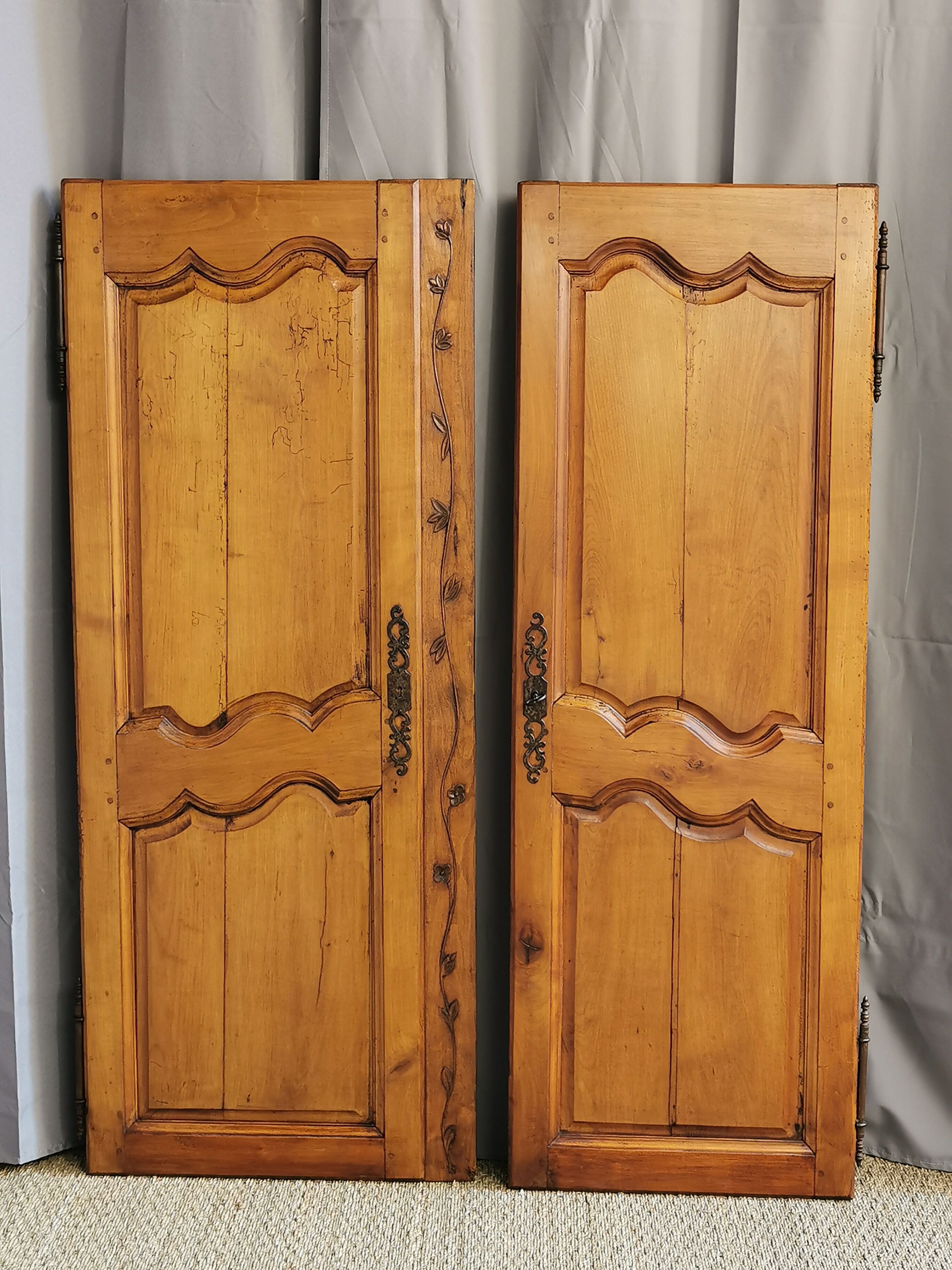 Paire de portes d'armoire ancienne XlXème