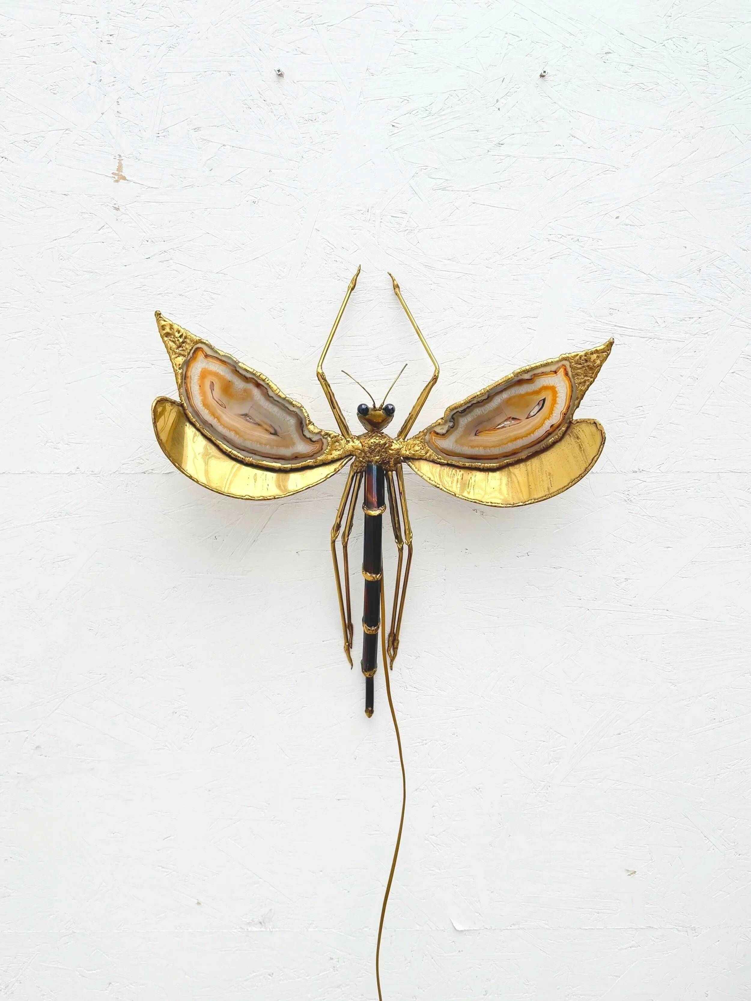 "Libellule" wall light by Jacques Duval Brasseur in brass and agate, 1970.
