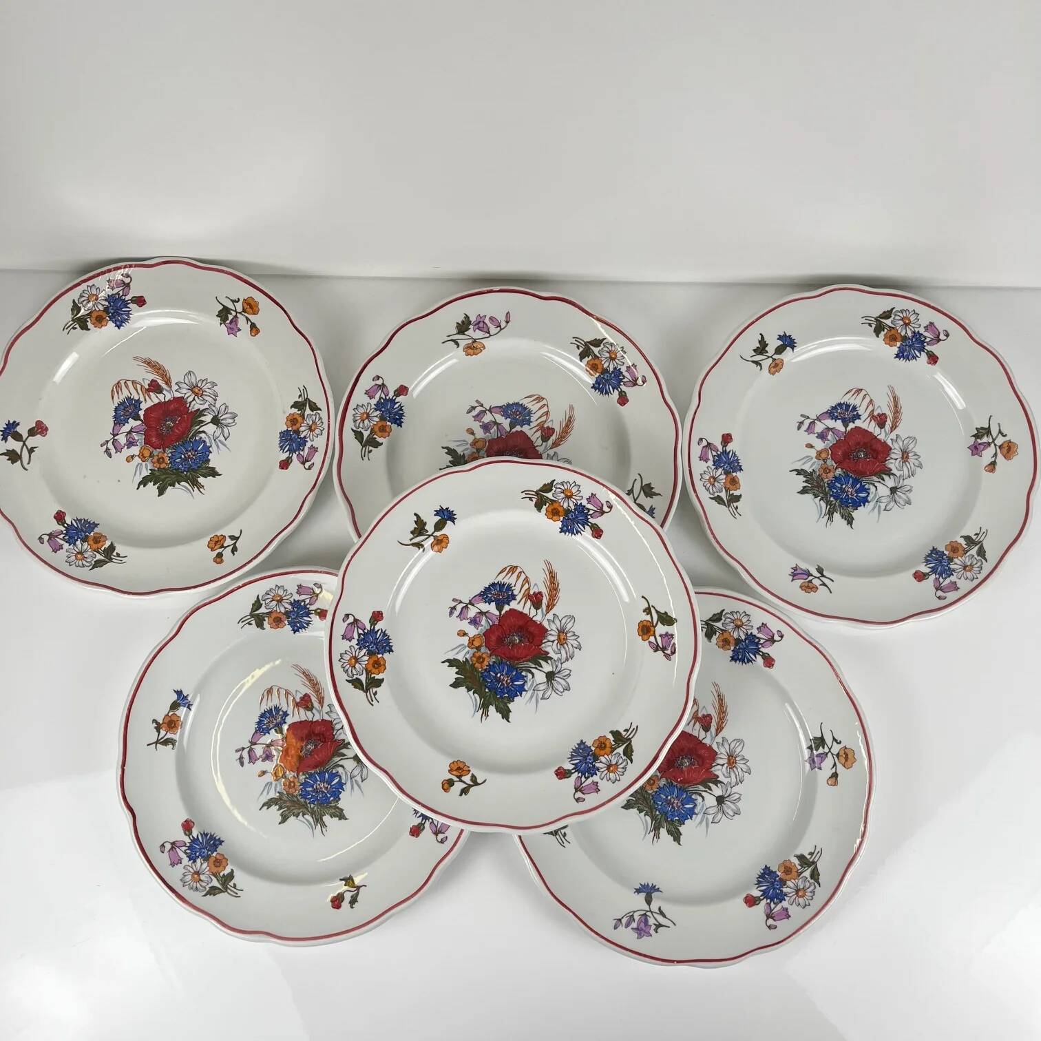 Set of 6 flat plates "Agreste", Sarreguemines, late 20th century, Pyroblan