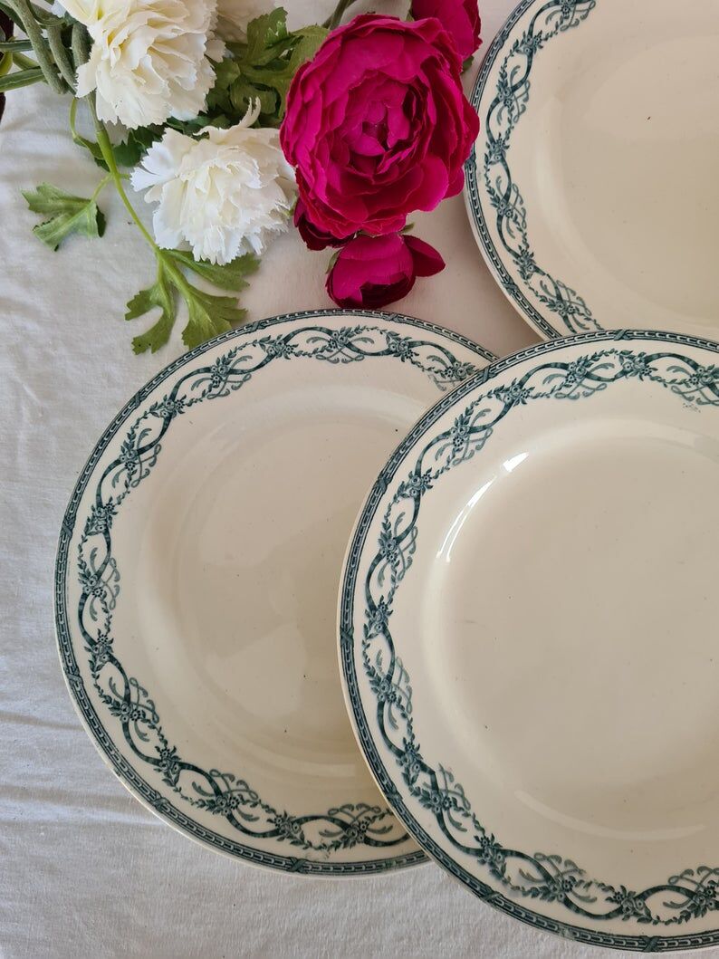 Old flat plates in "Recamier" model iron earth from the French salin factory