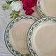 Old flat plates in "Recamier" model iron earth from the French salin factory