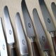 Box of 12 old cheese knives Stainless steel and bovine horn 202