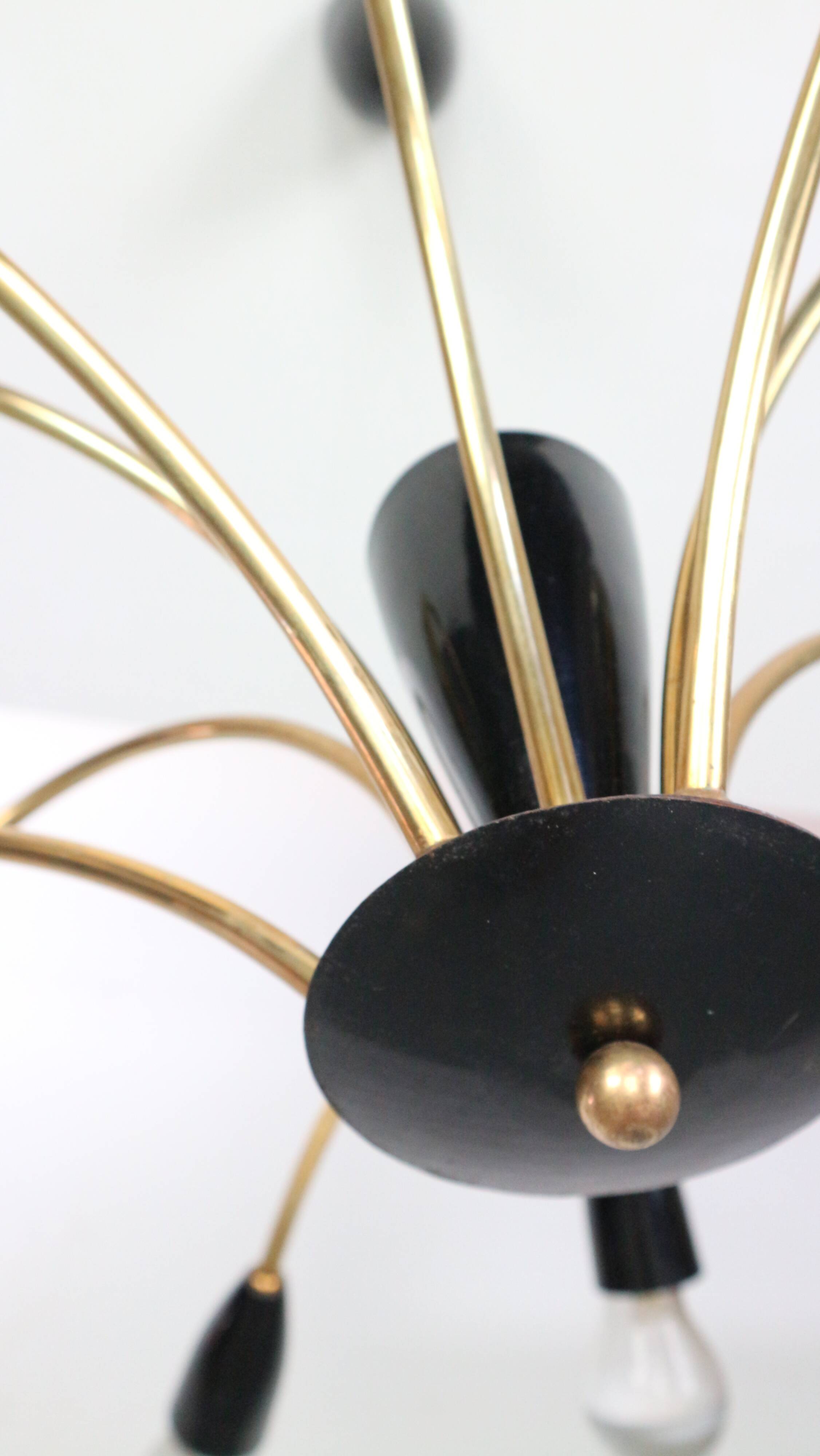 Italian Black and brass 12 arm Spider Chandelier  1950s