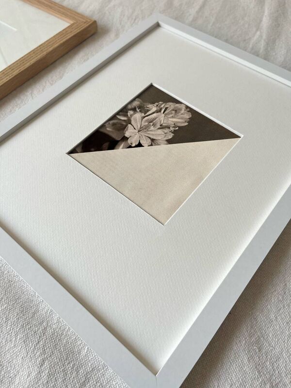 Fleur dans le noir - Collage original