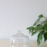 Glass cheese bell, vintage