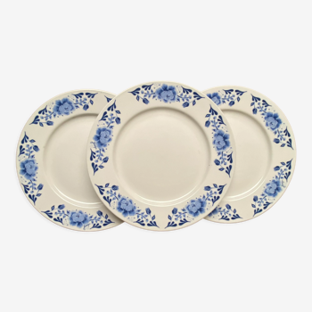 Set de 3 assiettes plates