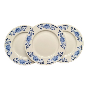 Set de 3 assiettes plates