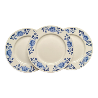 Set de 3 assiettes plates