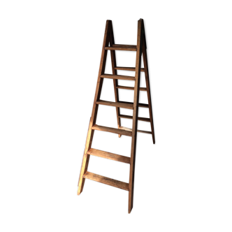 Stepladder - Double ladder in old wood painter