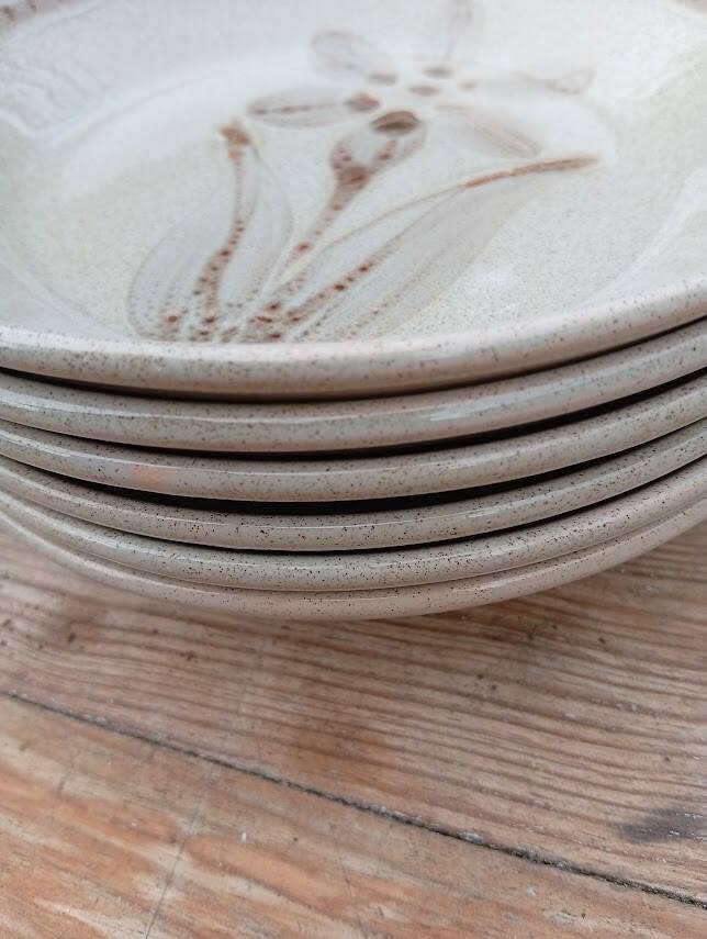 6 Sarreguemines deep plates