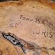 Tony Bain vallauris olive wood cut