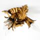 Beautiful small ceiling lamp by Banci Firenze, Italy, from the 1960s