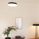 Ceiling lamp, signed Disano, Italy 1960