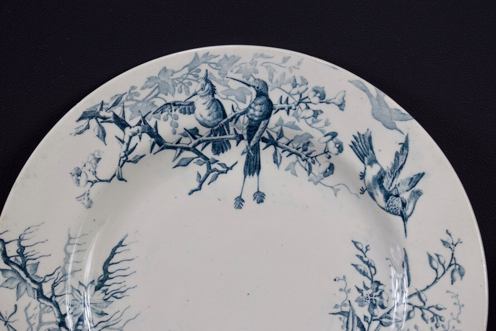Plate colibri luneville in faience white and blue