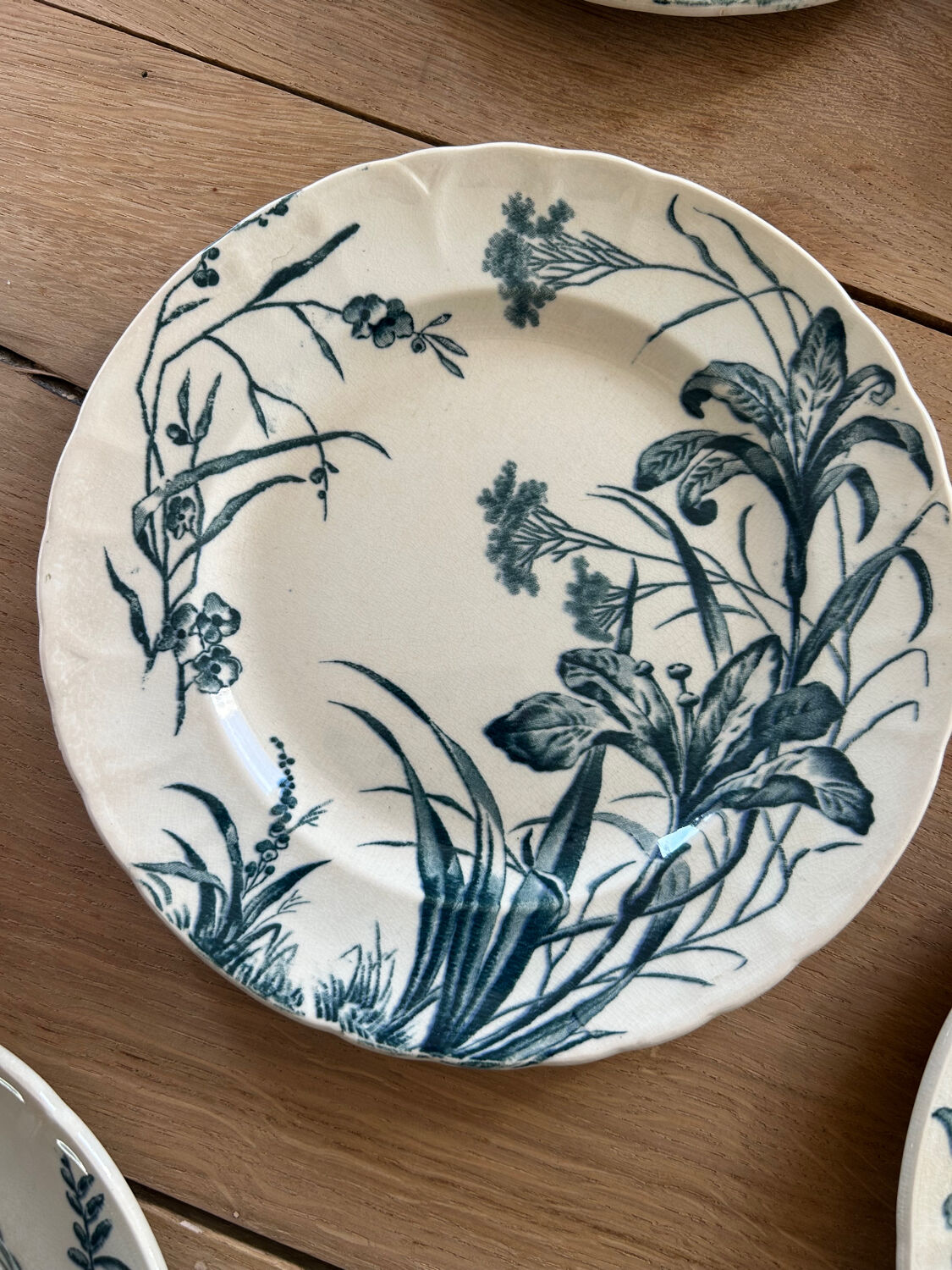 Set of 5 dessert plates Terre de fer Jules Vieillard