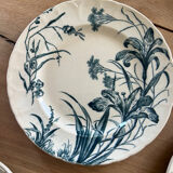 Set of 5 dessert plates Terre de fer Jules Vieillard