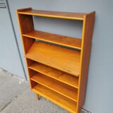 Scandinavian teak library