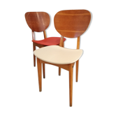 Vintage chairs from the 1950s "Stella"