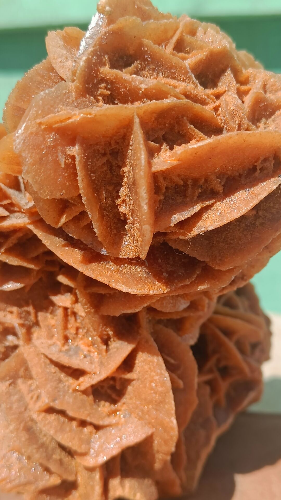 Rose des sables sur socle