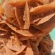 Rose des sables sur socle