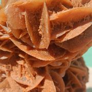Rose des sables sur socle