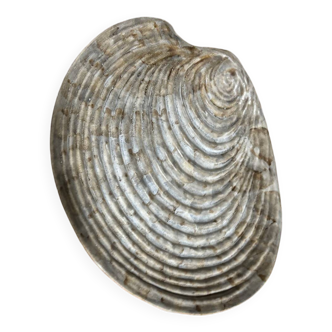 Shell plates by Dominique Guillot Vallauris from the 60s